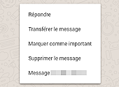 Whatsapp limite la diffusion des messages pour lutter contre les Fake news Whatsapp limite la diffusion des messages pour lutter contre les Fake news