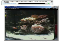 IPViewer for dlink camera