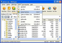 BitZipper 2010