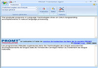 PROMT Translation Agent