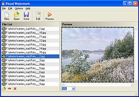 Visual Watermark