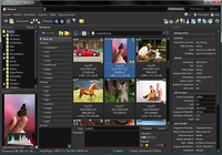 Zoner Photo Studio Free