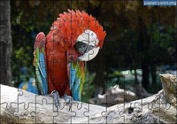 Puzzle animaux 2