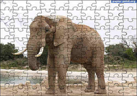 Puzzles Animaux Volume 1