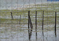 Puzzle Etangs de Palavas