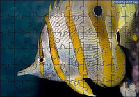 Puzzle animaux 1