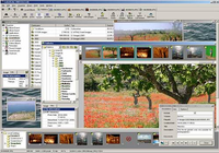 CodedColor PhotoStudio