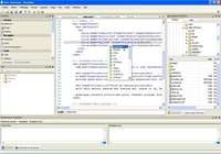 WebzDitor