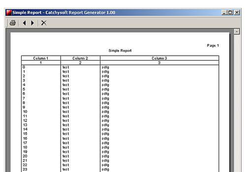 Télécharger Catchysoft Report Generator Pro