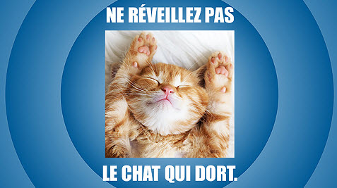 ADOBE DÉVOILE SA NOUVELLE GAMME ELEMENTS 2019 Meme%20maker
