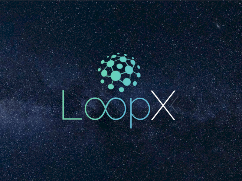 LoopX, la startup qui disparaît avec des millions de dollars en cryptomonnaie après sa levée de fonds