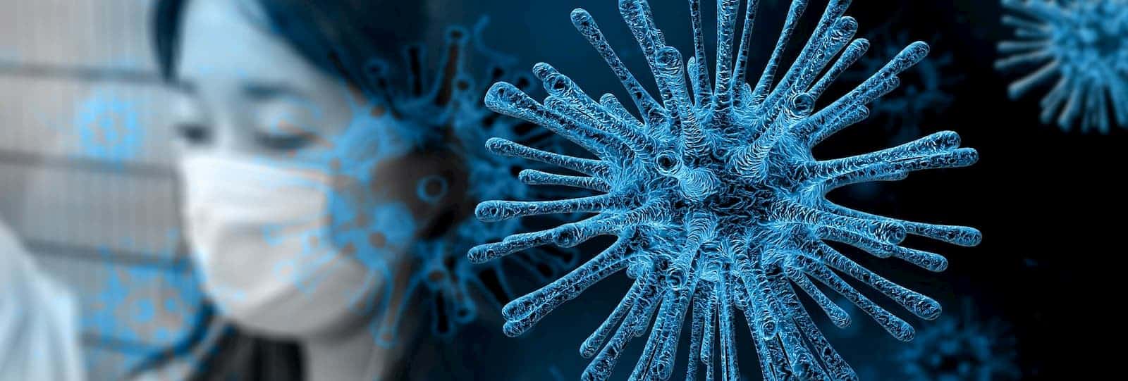 Coronavirus : l’OMS met en garde contre les campagnes malveillantes sur la toile