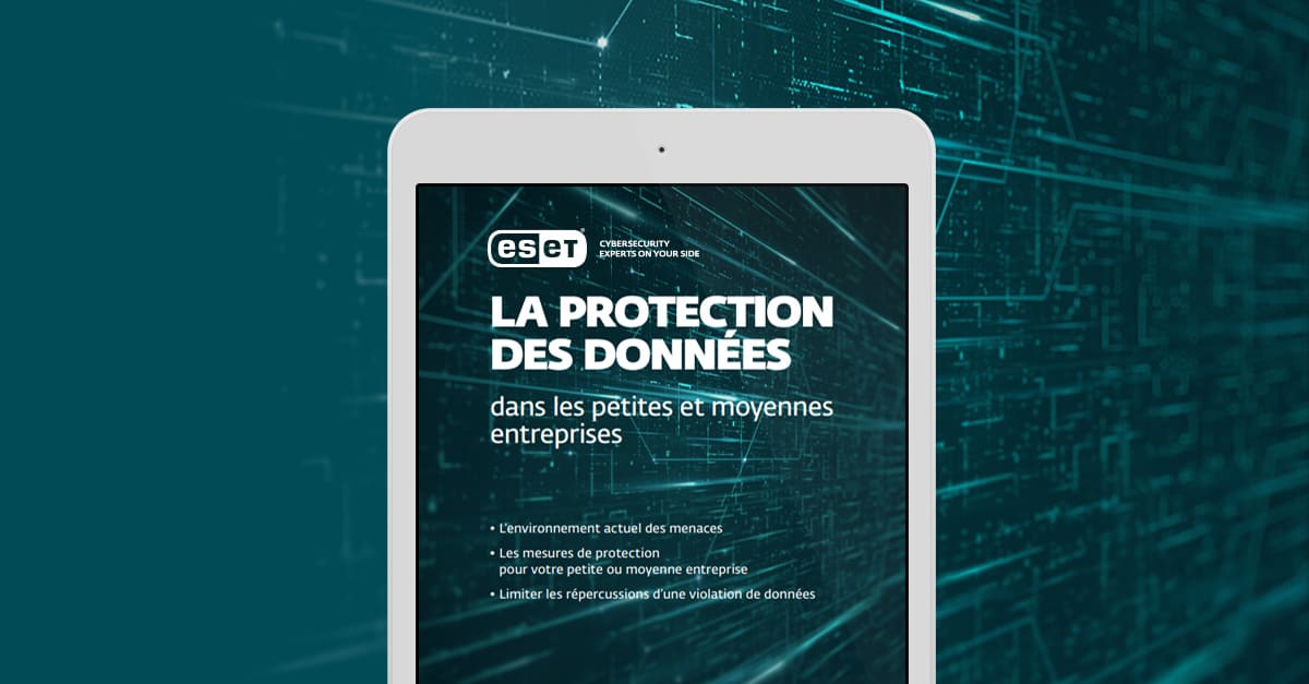 Apprenez à protéger efficacement les données de votre activité [Ebook gratuit]