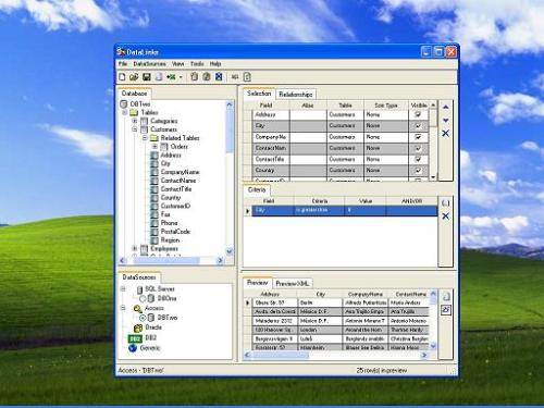Capture d'écran DataLinks: For Access Only Capture d'écran DataLinks: For Access Only