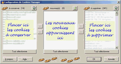 Capture d'écran Cookies Manager Capture d'écran Cookies Manager
