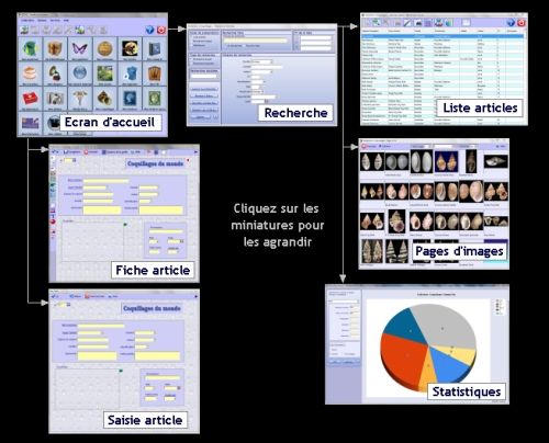 Capture d'écran IDX4U – Gestion multicollections Capture d'écran IDX4U – Gestion multicollections