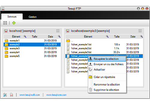 Capture d'écran Tesuji FTP client Capture d'écran Tesuji FTP client