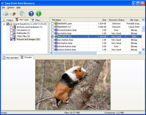 Capture d'écran Easy NTFS Data Recovery