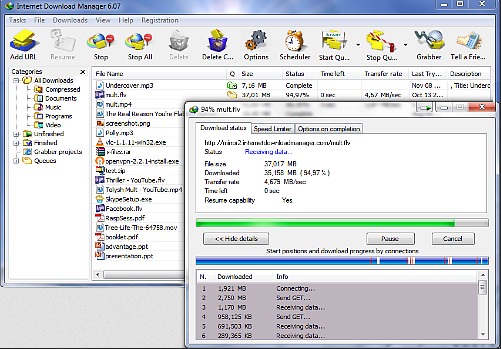 Capture d'écran IDM Internet Download Manager Capture d'écran IDM Internet Download Manager