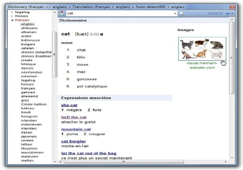Capture d'écran Dictionary.net Capture d'écran Dictionary.net