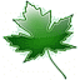 Logo Forêt