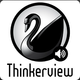 Logo Thinkerview 