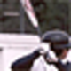 Logo Free Baseball Pictures Screensaver