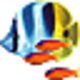 Logo Coral Clock 3D Screensaver