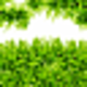 Logo Grass Time Screensaver