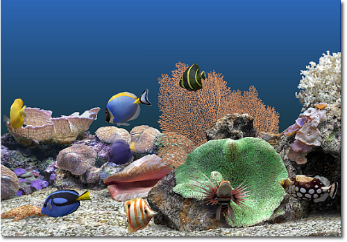 Capture d'écran Marine Aquarium Capture d'écran Marine Aquarium