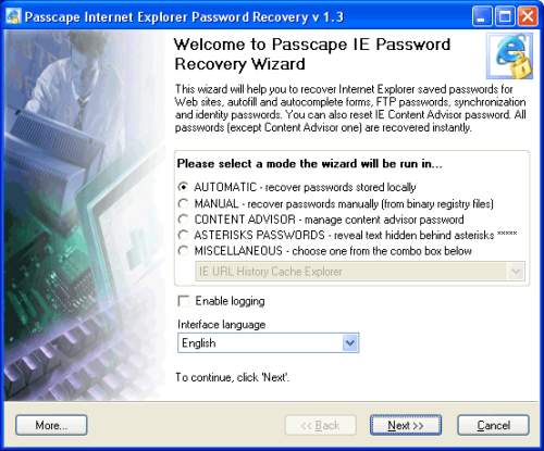 Capture d'écran Internet Explorer Password Recovery