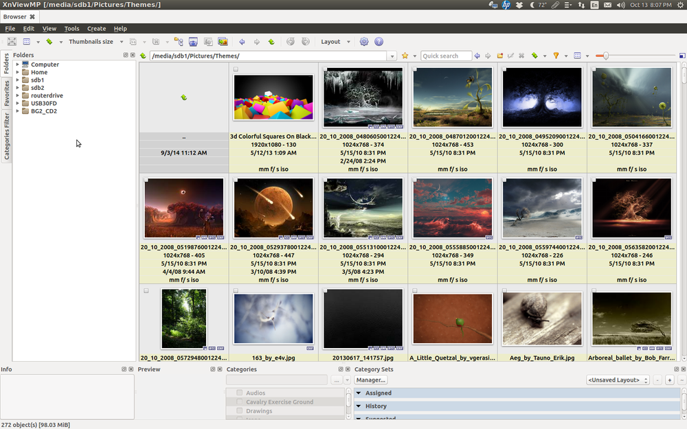 Capture d'écran XnViewMP Linux Capture d'écran XnViewMP Linux