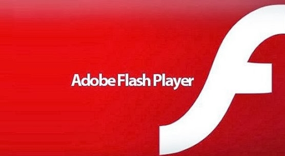 Capture d'écran Flash Player Android Capture d'écran Flash Player Android